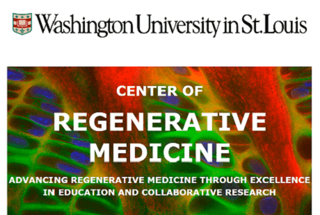Rita Levi-Montalcini Postdoctoral Fellowship in Regenerative Medicine