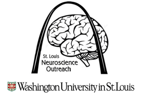 Outreach opportunities in Neuroscience