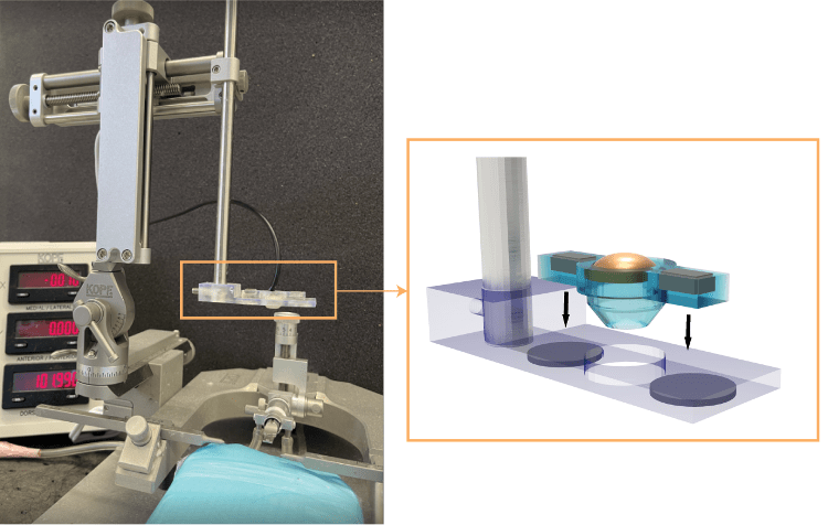 Low-cost, 3D printed device may broaden focused ultrasound use