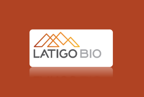 Latigo Biotherapeutics: Electrophysiologist